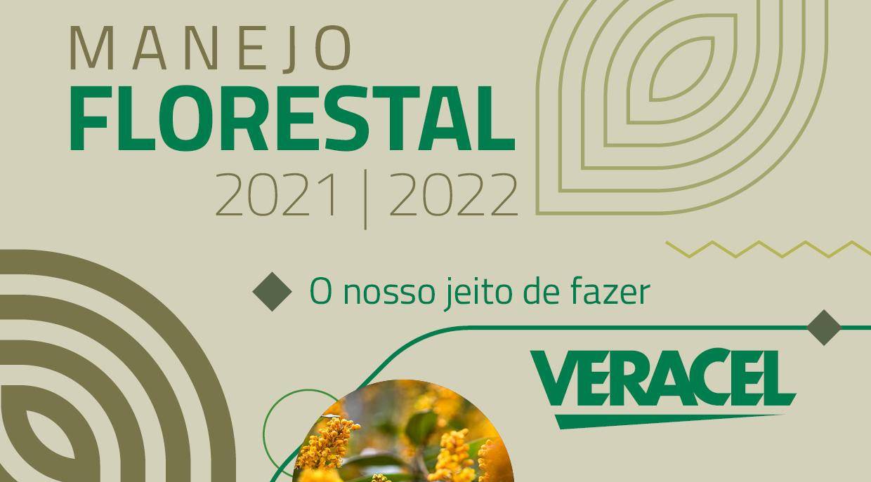 Meio Ambiente Plano De Manejo Florestal J Est Dispon Vel