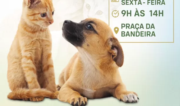 Feira de Adoção de Cães e Gatos acontece nesta sexta-feira na Praça da Bandeira
