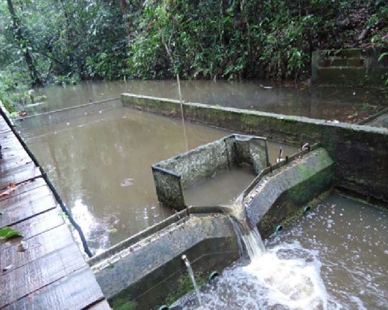 Estação Veracel - Mata nativa