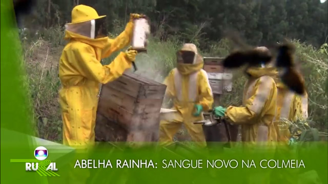 Foto: Reprodução / Globo Rural 