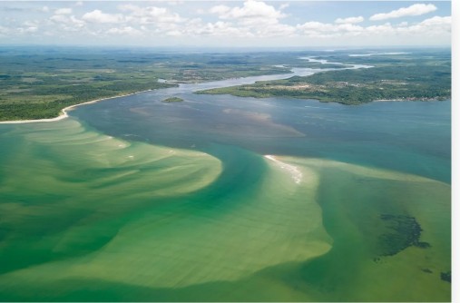 Boipeba é uma das áreas mais preservadas da Mata Atlântica brasileira. Foto: Fellipe Abreu/Mongabay Brasil/O Eco