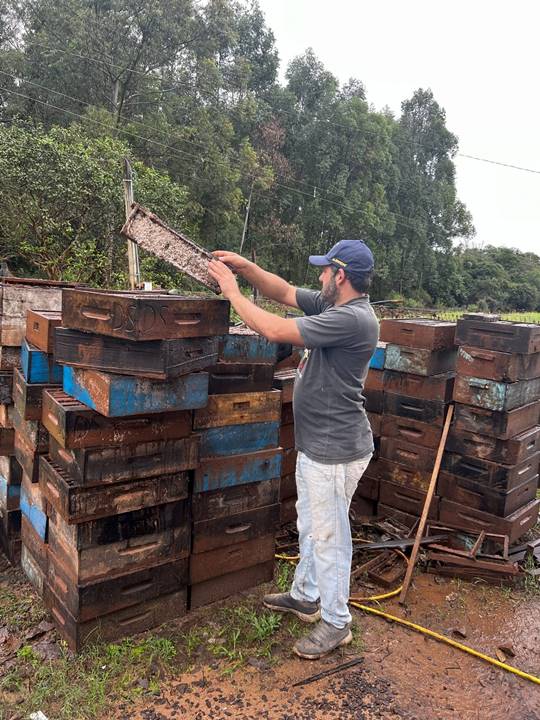 Apicultor do município de Taquari, RS, avalia a perda mais de uma tonelada de mel nas melgueiras submersas na enchente, no município de Taquari, no início de maio/2024. - Foto: Luiz Vicente