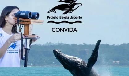 Observatório de Baleias-Jubarte unirá turismo, ciência e patrimônio na Cidade Histórica