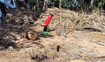 Fiscalização ambiental embarga área por desmatamento irregular em Caraíva