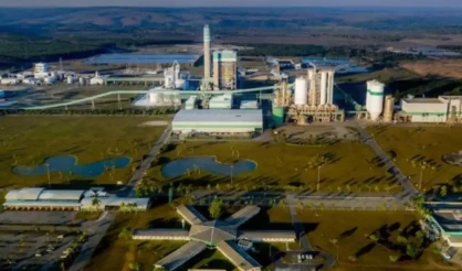 Veracel abre inscrições para três oportunidades de emprego no Sul da Bahia