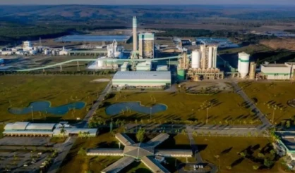 Veracel abre oportunidade para Analista de Planejamento Florestal Sênior