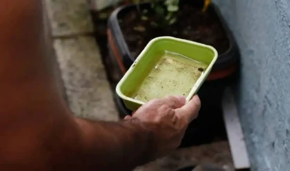 Quase metade dos municípios está em alerta ou risco para presença do Aedes aegypti